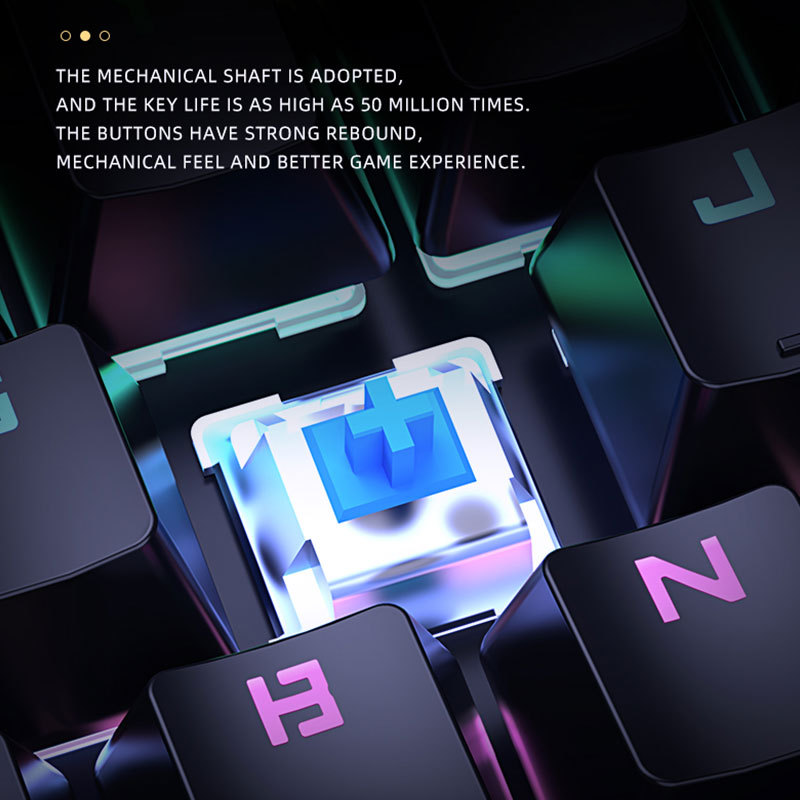 main_image_6