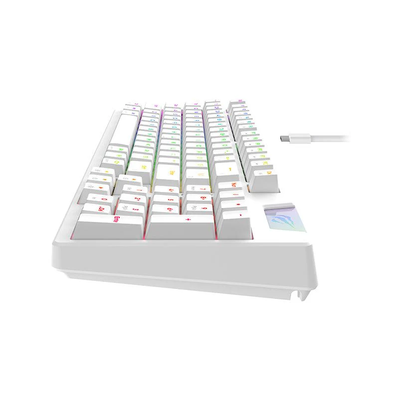 HAVIT Gaming Keyboard KB885L RGB
