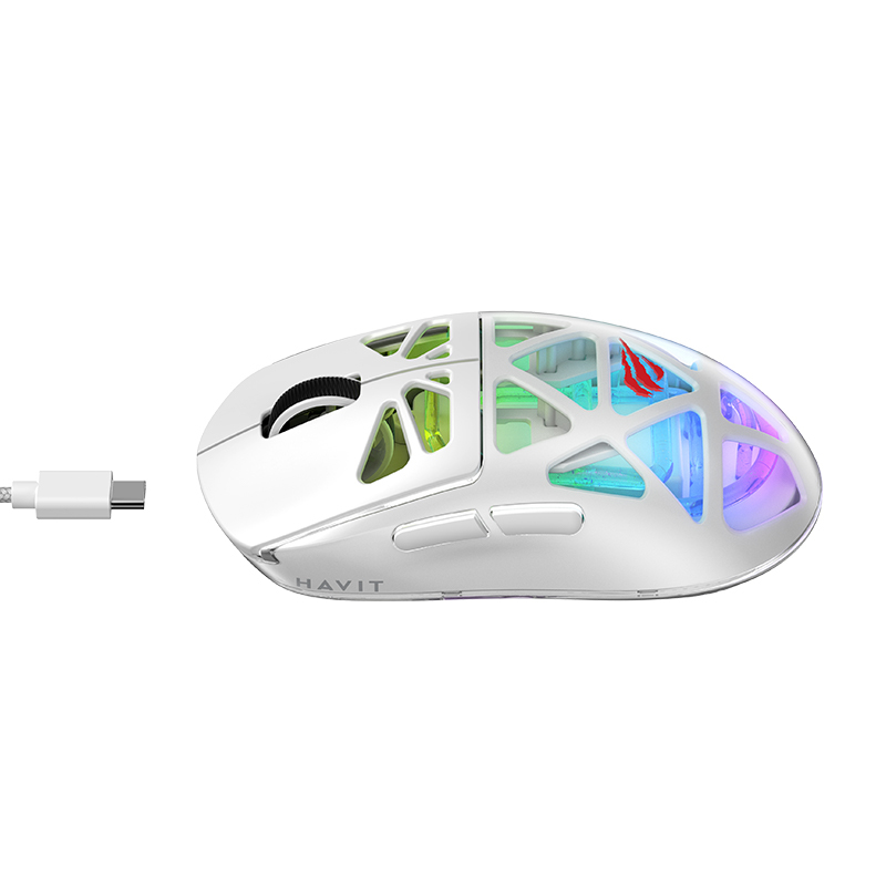 main_image_4 (1)