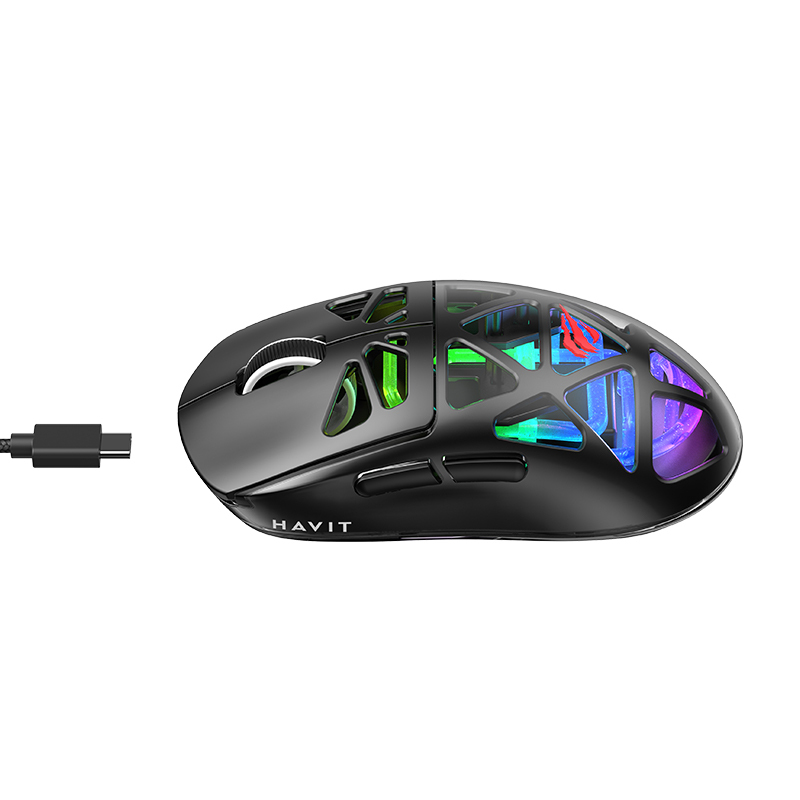 main_image_3 (1)
