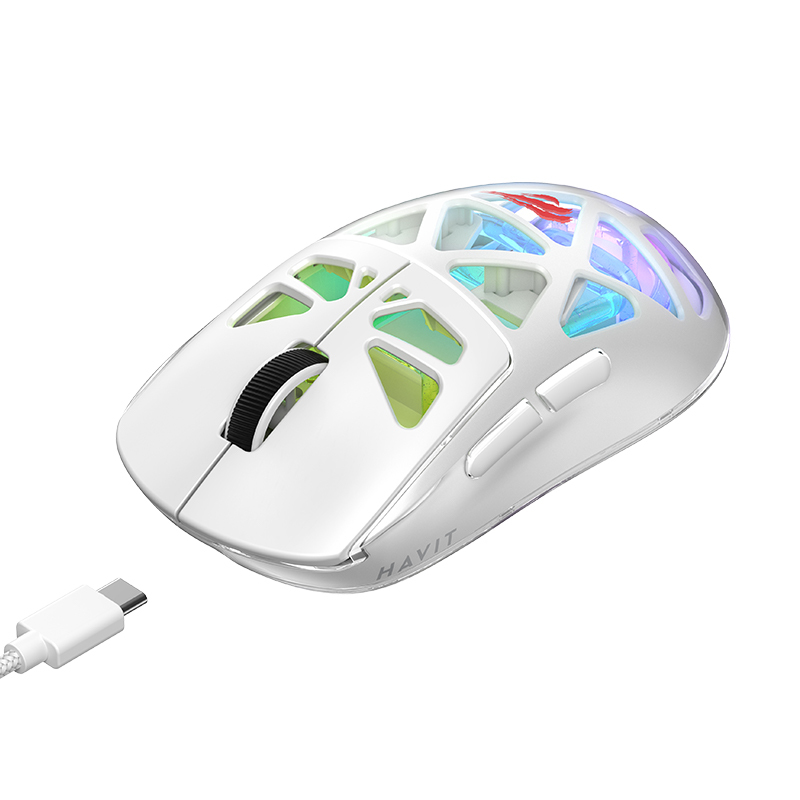 main_image_6 (1)