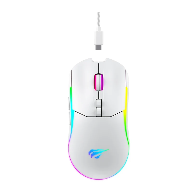 HAVIT Tri-Mode Gaming Mouse MS1020WB